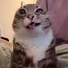 re.re.not.here1
