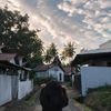 syalzz_3