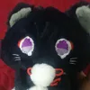 meozz1212