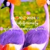 aumg.myat.thu2