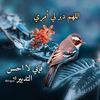 khaled.saad346