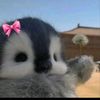 aqilalalala_5