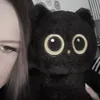 rinaqx_01