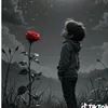 ali212618