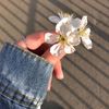 nanis08_24
