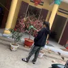 phuonglu23
