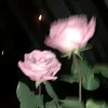 s.rinee44