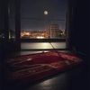 safiaelgmal162