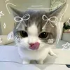 l_like_your