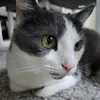filipppo11