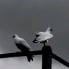 feelthesong11