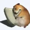 notchomikanymore