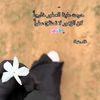 user7461660686572