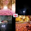 janethd33
