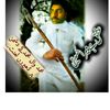 saifabbs512149