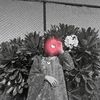 h_e_e_r452
