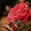 angell__875
