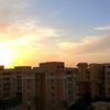 gehadmohamed12773