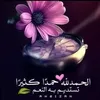 fatima.amerchouch
