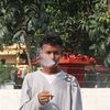 loyalboy.88