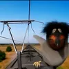 skebob_skebobovich4