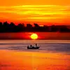 erdal.torun7