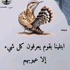 user9886158112146