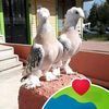 user5081406102010