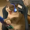 mayjunenwrd