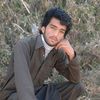 gulzar.zidi4188