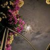 ghada.atef693