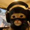 maksutik465