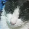 itansimon12