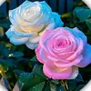 user3067156160312