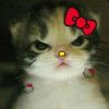 user50402383818680