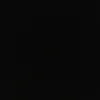 tuankiet_fox06