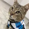 jerrygatito12