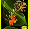 hiba.balahcen