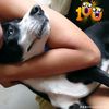 maria.briceo794