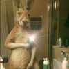 jeronimo_fernandez2