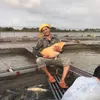 Hoàng Cá Lồng