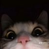 glxsyy_rara2