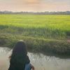 zening_fa