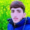 amjad08038