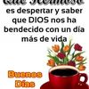 user24616003774421
