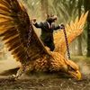 pal.hen