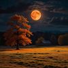 nona_3218