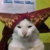 miauaughh