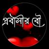 urmi_553