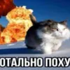 timopheivka6